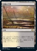 【JPN】湿地の干潟/Marsh Flats[MTG_MH2_248R]