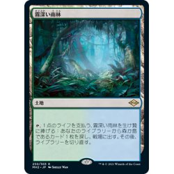 画像1: 【JPN】霧深い雨林/Misty Rainforest[MTG_MH2_250R]