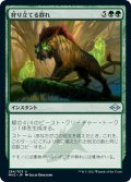 【JPN】狩り立てる群れ/Hunting Pack[MTG_MH2_284U]