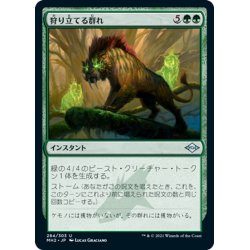 画像1: 【JPN】狩り立てる群れ/Hunting Pack[MTG_MH2_284U]