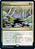 【JPN】★Foil★真の木立ち/Sterling Grove[MTG_MH2_293R]