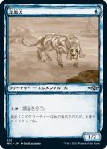 【JPN】氾濫犬/Floodhound[MTG_MH2_335C]