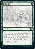 【JPN】豊穣な収穫/Abundant Harvest[MTG_MH2_354C]