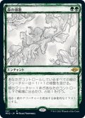 【JPN】森の頌歌/Sylvan Anthem[MTG_MH2_357R]