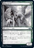 【JPN】貪欲なるリス/Ravenous Squirrel[MTG_MH2_375U]