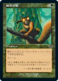 【JPN】騒鳴の嵐/Chatterstorm[MTG_MH2_411C]