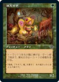 【JPN】薄光の子/Glimmer Bairn[MTG_MH2_413C]