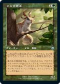 【JPN】リスの君主/Squirrel Sovereign[MTG_MH2_415U]