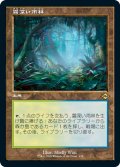 【JPN】霧深い雨林/Misty Rainforest[MTG_MH2_438R]