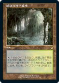 【JPN】新緑の地下墓地/Verdant Catacombs[MTG_MH2_440R]