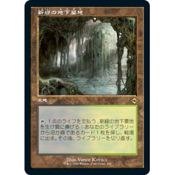 画像1: 【JPN】★エッチングFoil★新緑の地下墓地/Verdant Catacombs[MTG_MH2_440R]