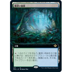 画像1: 【JPN】霧深い雨林/Misty Rainforest[MTG_MH2_477R]