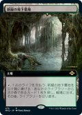 【JPN】新緑の地下墓地/Verdant Catacombs[MTG_MH2_479R]