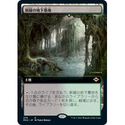 画像1: 【JPN】新緑の地下墓地/Verdant Catacombs[MTG_MH2_479R]