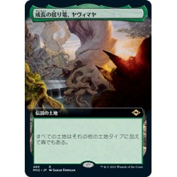 画像1: 【JPN】成長の揺り篭、ヤヴィマヤ/Yavimaya, Cradle of Growth[MTG_MH2_480R]