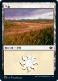 【JPN】平地/Plains[MTG_MH2_482L]