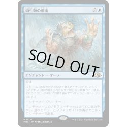 画像1: 【JPN】両生類の豪雨/Amphibian Downpour[MTG_MH3_0051_R]