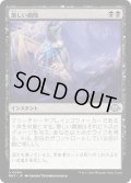 【JPN】激しい腐敗/Consuming Corruption[MTG_MH3_0084_U]