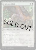 【JPN】日を浴びる繁殖鱗/Basking Broodscale[MTG_MH3_0145_C]