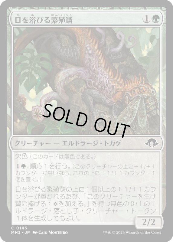 画像1: 【JPN】日を浴びる繁殖鱗/Basking Broodscale[MTG_MH3_0145_C] (1)