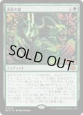 【JPN】★Foil★出産の儀[MTG_MH3_0146_M]