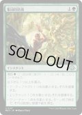 【JPN】集団的防衛/Collective Resistance[MTG_MH3_0147_U]