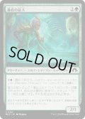 【JPN】進化の証人/Evolution Witness[MTG_MH3_0151_C]