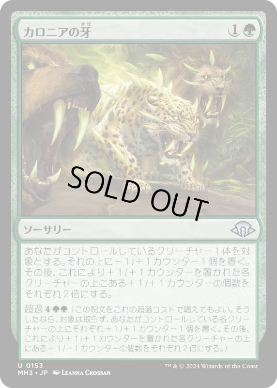 画像1: 【JPN】カロニアの牙/Fangs of Kalonia[MTG_MH3_0153_U] (1)