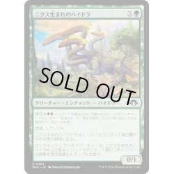 画像1: 【JPN】ニクス生まれのハイドラ/Nyxborn Hydra[MTG_MH3_0164_C]