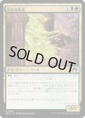 【JPN】広がる軟泥/Expanding Ooze[MTG_MH3_0184_C]