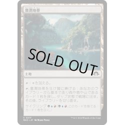 画像1: 【JPN】豊潤地帯/Bountiful Landscape[MTG_MH3_0217_C]