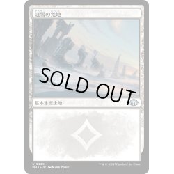 画像1: 【JPN】冠雪の荒地/Snow-Covered Wastes[MTG_MH3_0229_U]