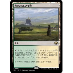 画像1: 【JPN】吹きさらしの荒野/Windswept Heath[MTG_MH3_0235_R]