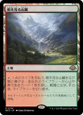 【JPN】★Foil★樹木茂る山麓[MTG_MH3_0236_R]