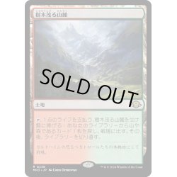 画像1: 【JPN】樹木茂る山麓/Wooded Foothills[MTG_MH3_0236_R]