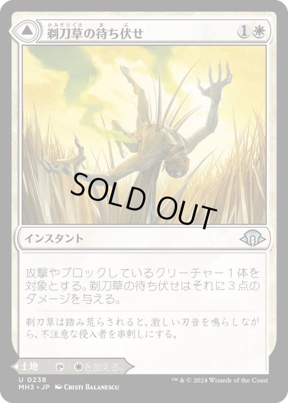 画像1: 【JPN】剃刀草の待ち伏せ//剃刀草の原野/Razorgrass Ambush//Razorgrass Field[MTG_MH3_0238_U] (1)