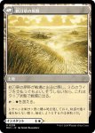 画像2: 【JPN】剃刀草の待ち伏せ//剃刀草の原野/Razorgrass Ambush//Razorgrass Field[MTG_MH3_0238_U] (2)