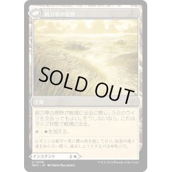 画像2: 【JPN】剃刀草の待ち伏せ//剃刀草の原野/Razorgrass Ambush//Razorgrass Field[MTG_MH3_0238_U]