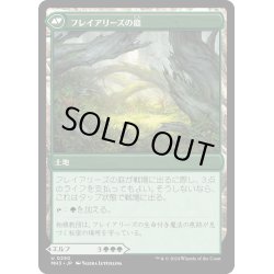 画像2: 【JPN】フレイアリーズの信奉者//フレイアリーズの庭/Disciple of Freyalise//Garden of Freyalise[MTG_MH3_0250_U]