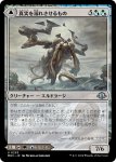 画像1: 【JPN】真実を溺れさせるもの//水没したジャングル/Drowner of Truth//Drowned Jungle[MTG_MH3_0253_U] (1)