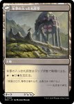 画像2: 【JPN】玻璃翼の恩寵//年季の入った礼拝堂/Glasswing Grace//Age-Graced Chapel[MTG_MH3_0254_U] (2)