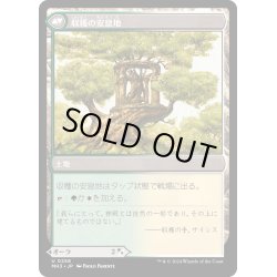 画像2: 【JPN】収穫の力//収穫の安息地/Strength of the Harvest//Haven of the Harvest[MTG_MH3_0258_U]