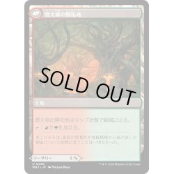 画像2: 【JPN】根絶やし根//燃え柳の開拓地/Stump Stomp//Burnwillow Clearing[MTG_MH3_0259_U]