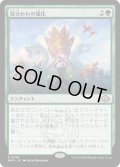 【JPN】★Foil★枝分かれの進化[MTG_MH3_0285_R]