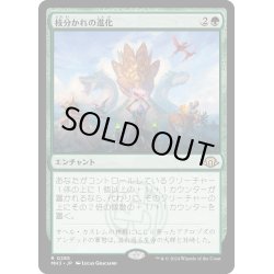 画像1: 【JPN】枝分かれの進化/Branching Evolution[MTG_MH3_0285_R]