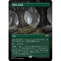 画像1: 【JPN】変容する森林/Shifting Woodland[MTG_MH3_0357_R]