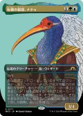 【JPN】★Borderless Foil★有翼の叡智、ナドゥ[MTG_MH3_0377_R]