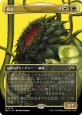 【JPN】屍花/The Necrobloom[MTG_MH3_0378_R]