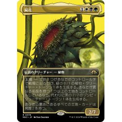 画像1: 【JPN】屍花/The Necrobloom[MTG_MH3_0378_R]