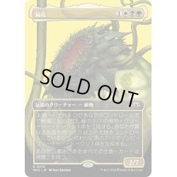 画像1: 【JPN】★Borderless Foil★屍花[MTG_MH3_0378_R]